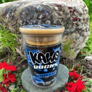 Outstanding Kaws Rocks 2